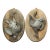 Pair of Circa 1890 Weathered French Hunt Trophies on Natural Oak Oval Panels For Sale