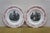 Antique French Creil Et Montereau Ironstone Campaign Plates - 12 pcs For Sale - Image 10 of 12