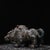 This is a finely cast antique gilt bronze sculpture of a wild boar, a figure often associated with strength and courage in...