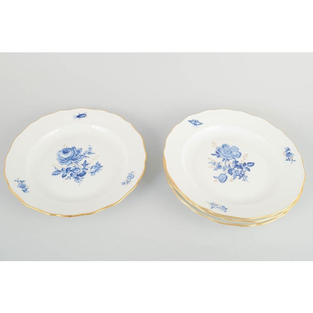 Meissen 4 dinner plates, early 20th century. Hand-decorated porcelain with hand-painted blue floral motifs and gilt...