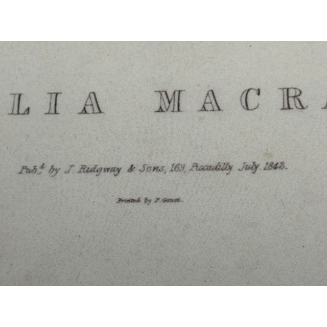 Antique Gilt Framed Botanical Print Titled Sobralia Macrantha Orchid Reproduction For Sale - Image 6 of 9