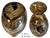 Art Glass Abstract Iridescent Tortoise Shell Vases- Set of Two For Sale - Image 18 of 18