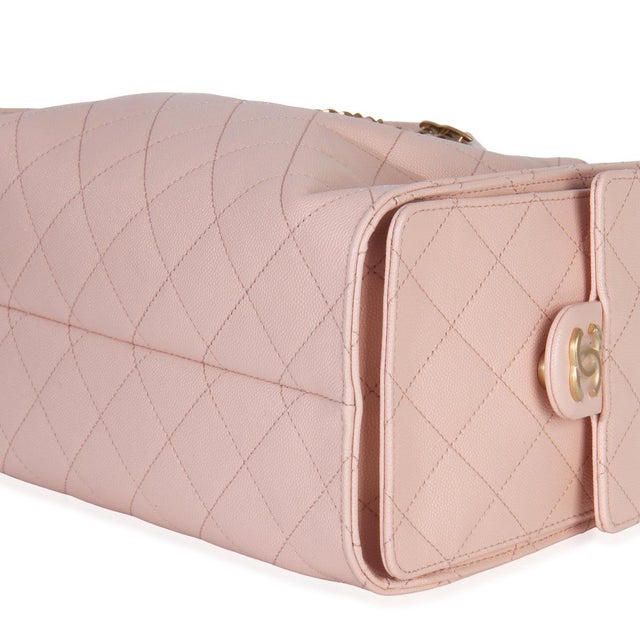 Animal Skin Pink Quilted Caviar Small Chanel 25 Hobo Handbag For Sale - Image 7 of 8