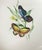 Designed and entirely hand painted, with markers mark on underside, by french studio Aatelier Le Tallec, for Tffanys.....
