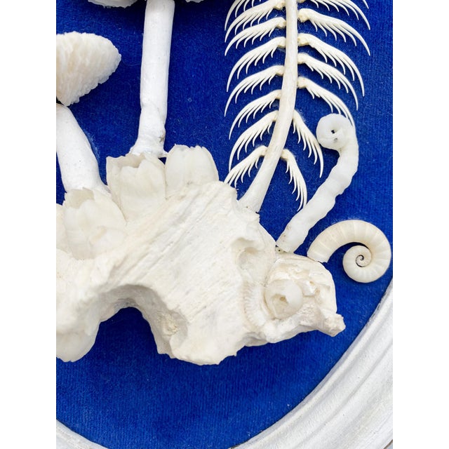 Vintage Framed Shell Art White Mushroom Motif With Blue Background Signed by Artist Chairish
