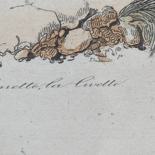 18th Century French Antique 18th Century "La Genette" Animal Engraving Hand Colored Signed Artwork For Sale - Image 5 of 12