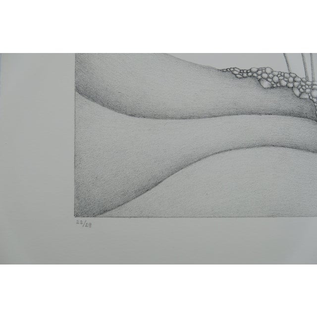 Gochka Charewicz, Petits bourgeons, Lithograph For Sale - Image 7 of 9