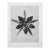 1935 Karl Blossfeldt Two-Sided Photogravure N62-61 For Sale In Dallas - Image 6 of 10