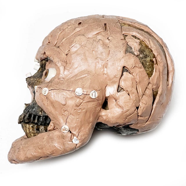 Forensic Facial Reconstruction Skull From the Hit American Crime Show, Bones For Sale In Phoenix - Image 6 of 6