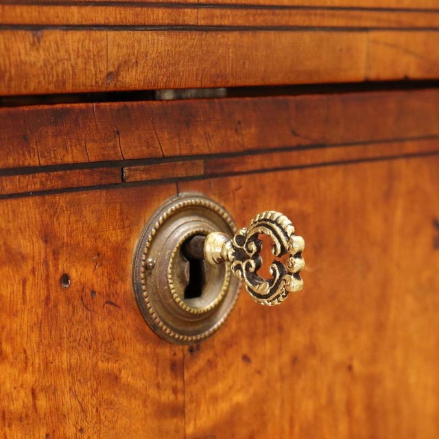 Biedermeier Secretary in Lemonwood and Ebony For Sale - Image 10 of 16