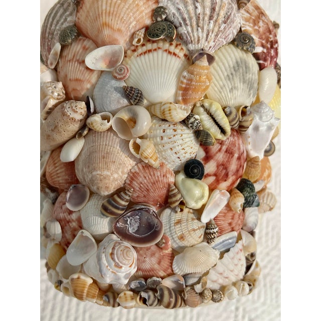 2020s Contemporary Coastal Grotto Shell Encrusted Planter or Cache Pot For Sale - Image 5 of 11