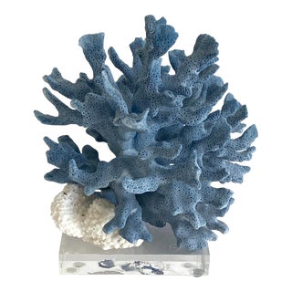 Natural Blue Coral on Acrylic Base For Sale
