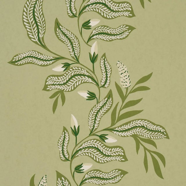 Contemporary Schumacher X Laura Gonzalez Vagary Vines Wallpaper In Honeydew For Sale - Image 3 of 4