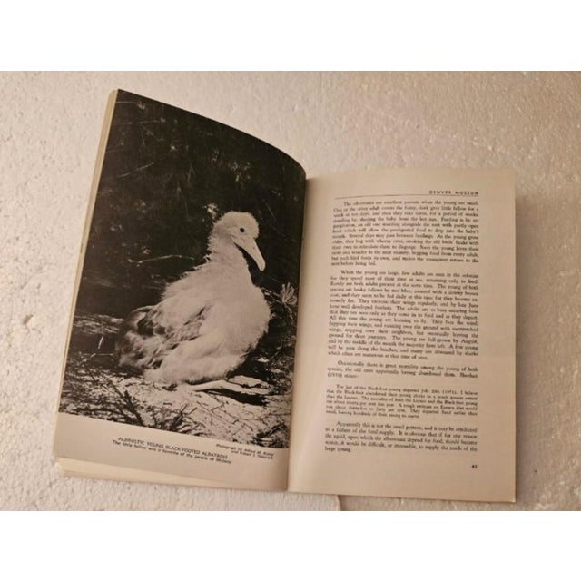 Mid-Century Modern Birds of Midway Island and Laysan Islands Denver Museum Pictorial Book Alfred Bailey 1956 For Sale - Image 3 of 4