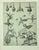 1902 -Set of 3 Antique French Botanicals- Ivy, Fushia, Sweet William, Documentation For Sale - Image 4 of 14