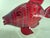Ruby-Red Large Art Glass Fish Figurine by Chris Belleau, Signet. For Sale In Providence - Image 6 of 10