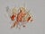 2020s Minimalist Flower Study, Organic Modern Botanical Painting on Canvas, Herbarium Wall Art / Cy Twombly For Sale - Image 5 of 8