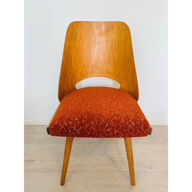 Mid-Century Modern Dining Chair by Radomír Hofman for Ton, 1950s For Sale - Image 12 of 13