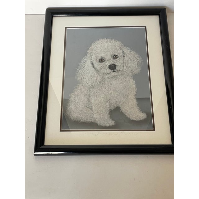 Lovely dog portrait of a white poodle dog, signed Sally Mandelsohn , 1998, gouache and pastel on paper, framed under glass...