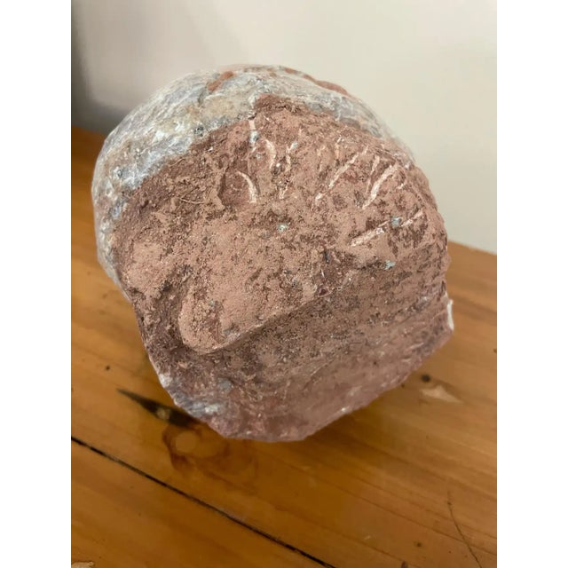 Brown Prehistoric Petrified Dinosaur Egg with Cracked Surface For Sale - Image 8 of 13