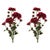 Rustic Dahlia Flower Bundle (Set of 2) For Sale - Image 3 of 3