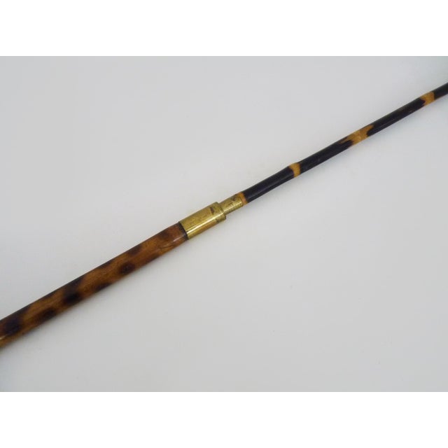 Walking Stick with Bamboo Fishing Rod System, 1890s For Sale - Image 3 of 8