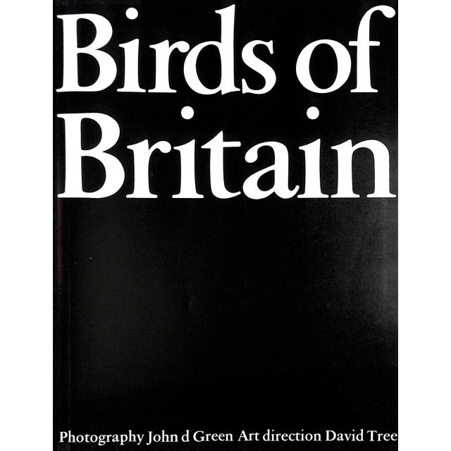 Paper "Birds of Britain" 1967 Green, John For Sale - Image 7 of 12