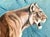 Mid 20th Century Walter J. Wilwerding Oil Painting For Sale In Miami - Image 6 of 12