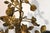 French 19Th Century Louis XVI Style Gilt and Bronze Mounted Cherub Candelabras on White Marble Stands For Sale - Image 17 of 17