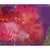 Contemporary Agnieszka Zawisza, Flower, Oil on Canvas For Sale - Image 3 of 6