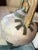 1990s Large Vintage Gerald & Kelly Hong Signed Raku Ceramic Vessel Postmodern Vessel Lidded Jar 18" For Sale - Image 5 of 17