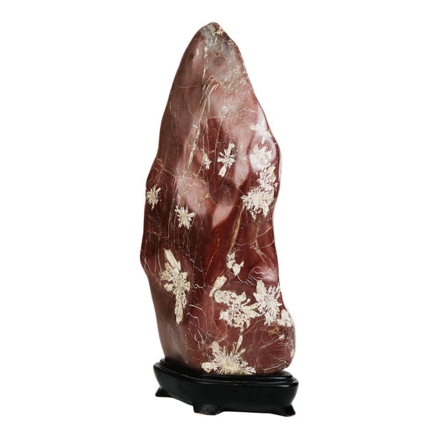 An Attractive & Rare Chinese Chrysanthemum Flower Stone For Sale