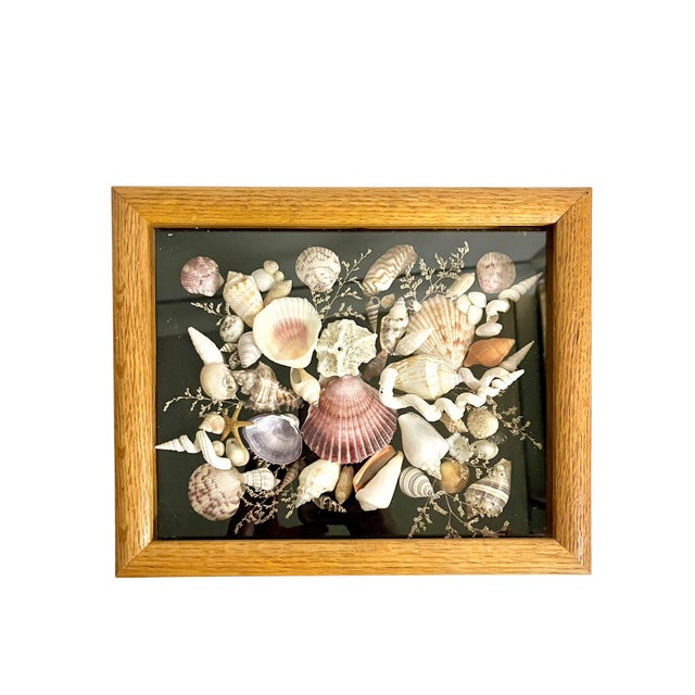Rustic Vintage Wood Framed Seashell Shadow Box Folk Art Wall Sculpture For Sale - Image 3 of 12