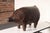 Charming hand-stitched leather pig sculpture/ottoman by Dimitri Omersa for Abercrombie and Fitch (ca. 1960s, England)....