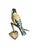 Austrian Folk Art Carved Wood Bird #85, 1930s For Sale - Image 4 of 4