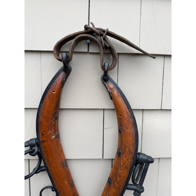 Antique u.s. Hame Co. Buffalo Ny Mule Hames – Original Wooden & Iron Harness Pair c.1900–1925 – Rustic Farmhouse Wall Decor For Sale - Image 16 of 18
