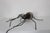 Spider Wall Lamp from Rossini Illuminazione, 1960s For Sale - Image 10 of 15