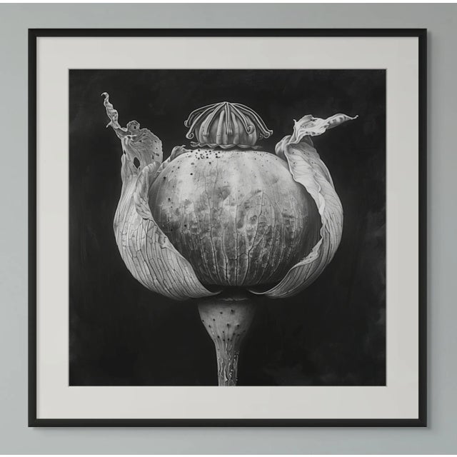 'Poppy Pod Head' No. 5 - Black and White Botanical Floral Photography Print / Karl Blossfeldt For Sale - Image 4 of 5