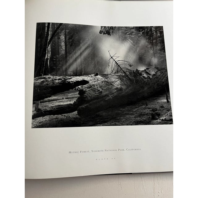 1995 John Sexton Listen to the Trees Book For Sale - Image 4 of 12