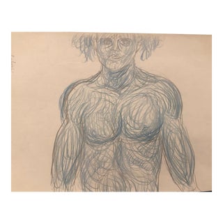 James Bone Male Nude Torso Drawing For Sale