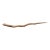 Vintage Tribal Naturalistic Carved Lg Snake Papua New Guinea 49.5" W For Sale