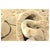 21st Century Turkish Agra Wool 9x12 Light Olive and Khaki Handmade Area Rug #1141219 For Sale In Houston - Image 6 of 7
