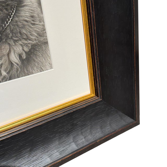 Black Rowdy, a Framed Photograph by Bruce Weber For Sale - Image 8 of 9