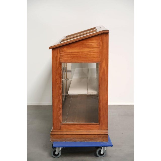 Vintage Museum Cabinet with Doors and Removable Shelves For Sale - Image 6 of 16