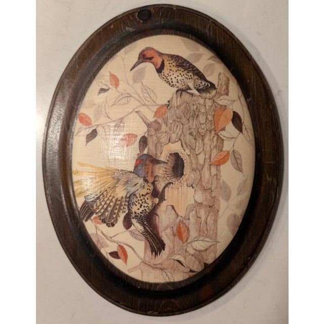 1960s-1970s Oval Wood Bird Plaques – Pair – Convex Decoupage Style Wall Art For Sale - Image 4 of 7