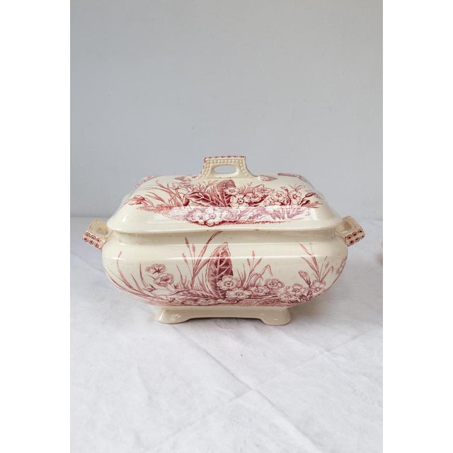 Maroon Antique English Tureen with Plate Francis & Co Primrose C., 1860 For Sale - Image 8 of 13
