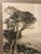 A single antique black and white print featuring a cypress tree above a rocky ocean landscape. Finished with colored mat,...