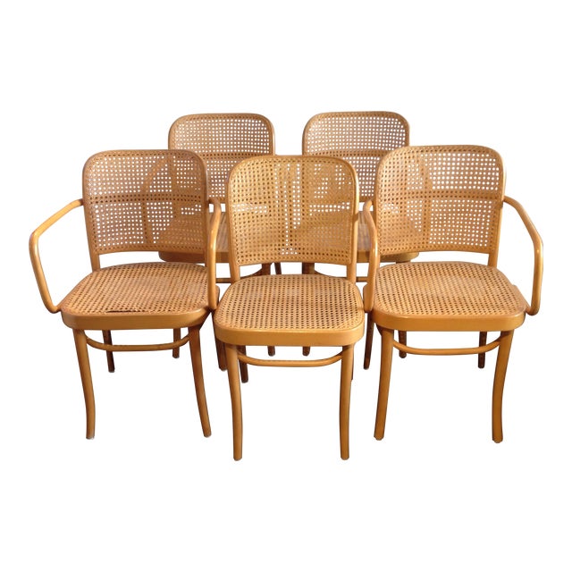 Prague Bentwood Cane Chairs Set of 5 Chairish