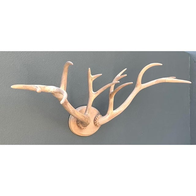 Vintage Carved Wood Antler Wall Mount For Sale - Image 4 of 14