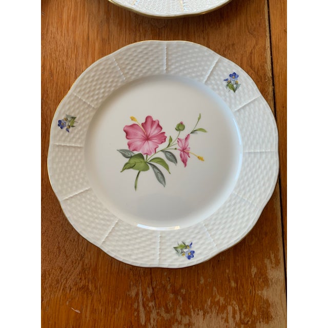 Herend Late 20th Century Herend Flowers of Bermuda Plates Rose , Hibscus, Bougainvilla, Bermudiana Handpainted - Set of Four For Sale - Image 4 of 8